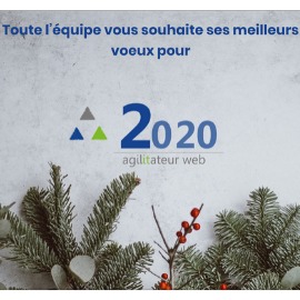 bonne année 2020 - 2le miniature