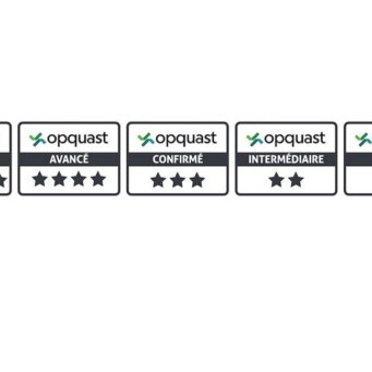 Opquast